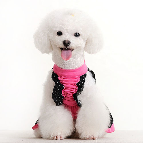 Cuerda para perros con luz reflectante de alta calidad
