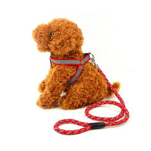 Cuerda para perros con luz reflectante de alta calidad