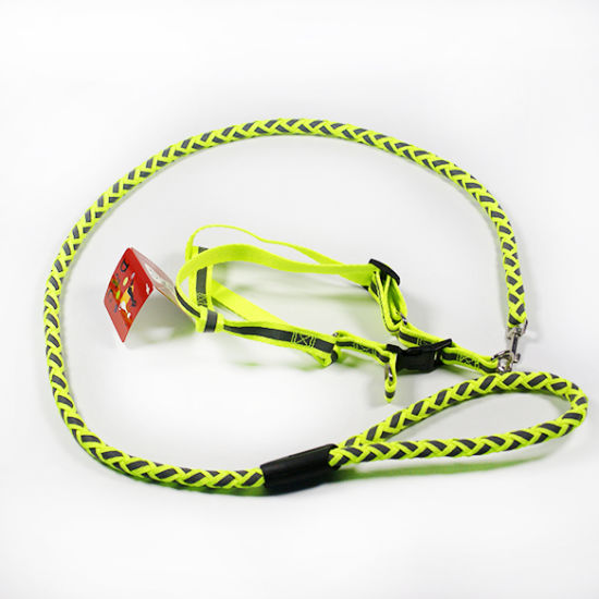 Cuerda para perros con luz reflectante de alta calidad