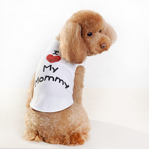 Mini bolsa de transporte para perros con doble hombro MOQ